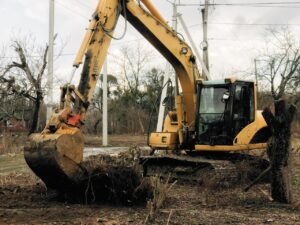 Read more about the article Top 5 Methods that Ensure Best Land Clearing Buffalo NY