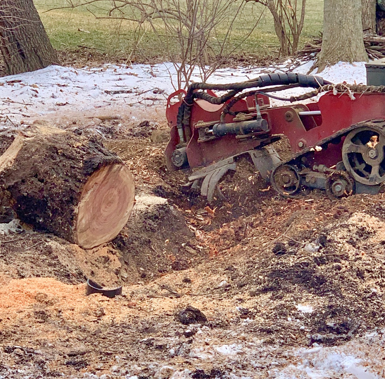 Best Stump Grinding Buffalo NY