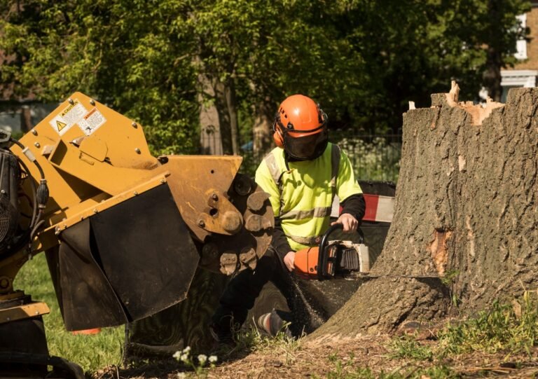 Best Stump removal Buffalo NY