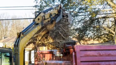 Best Tree Removal in Buffalo NY: The Legal Part to Deal With