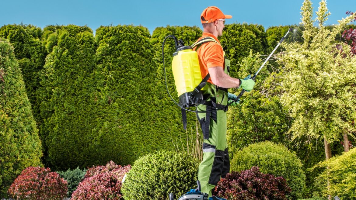 Avail the Benefits By Hiring the Best Tree Service Buffalo NY this