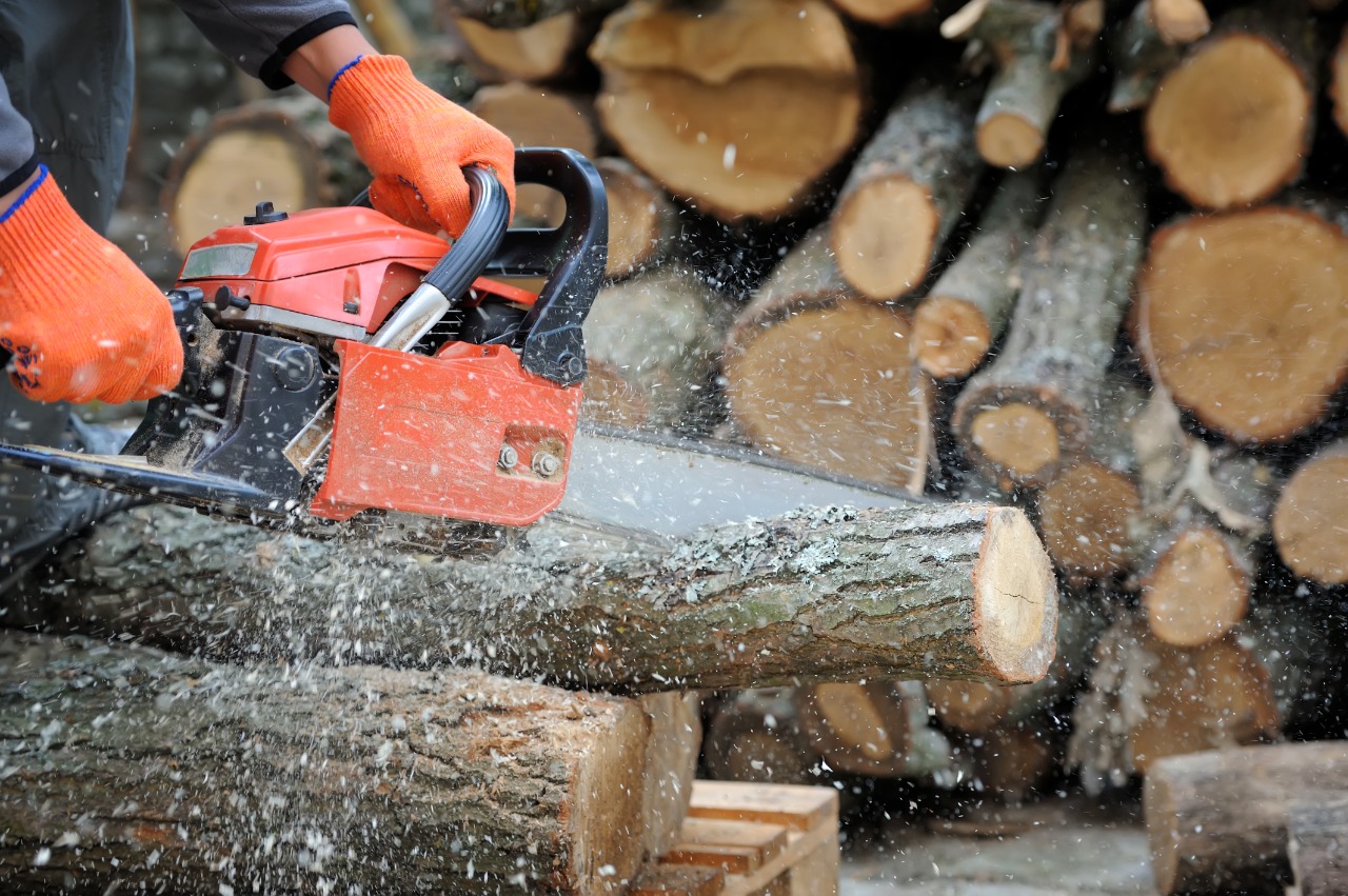 best tree trimming in buffalo ny