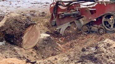 Brought a Land to Build Your New Home? Land Clearing and Stump Grinding are Urgent!