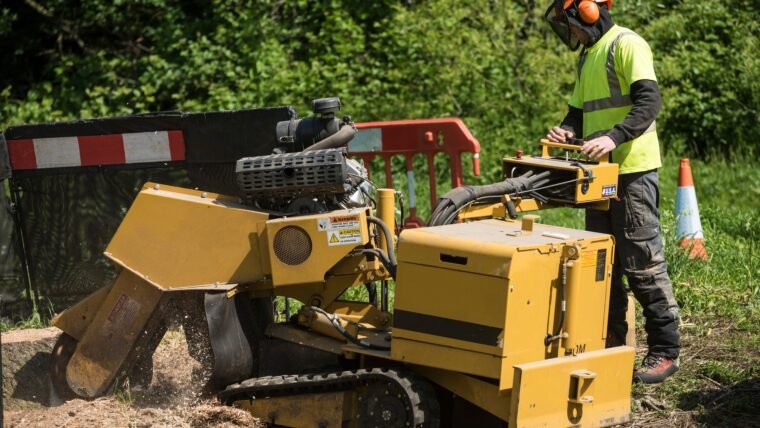 Is Stump Grinding A Better Option Than Stump Removal?