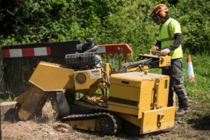 Stump Grinding