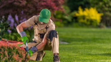 4 Signs That You Need Residential Tree Trimming
