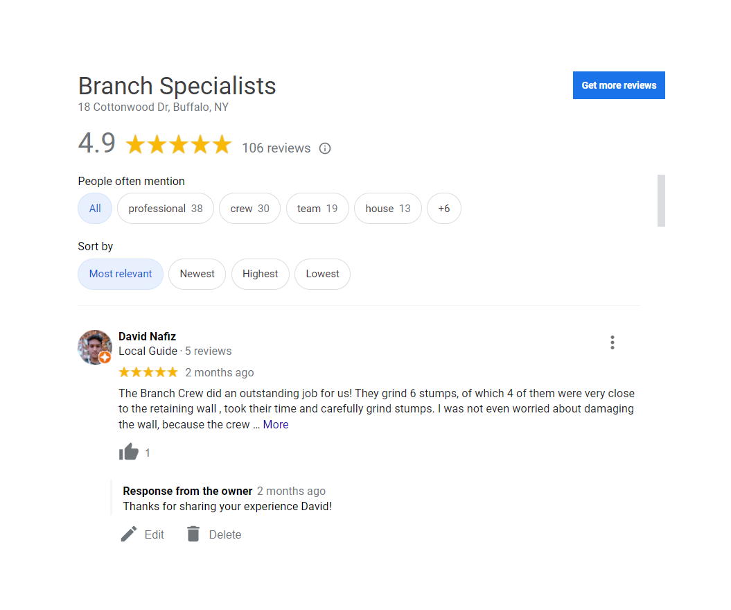 You are currently viewing Why Do You Need To Check Reviews Before Hiring A Tree Service Company?