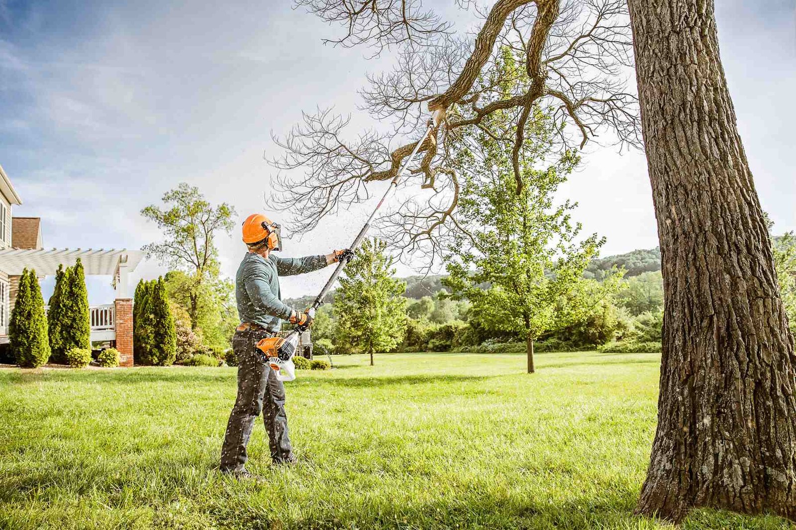 Read more about the article Tree Trimming Services: Should Tree Owners Pay Extra Heed To It?