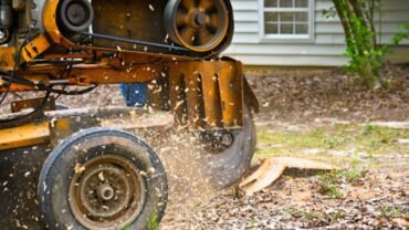 Get Tree Stumps Removal Service With A Specialized Team