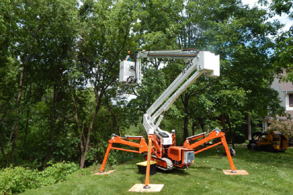 Read more about the article 6 Advantages of Hiring Tree Removal Professionals