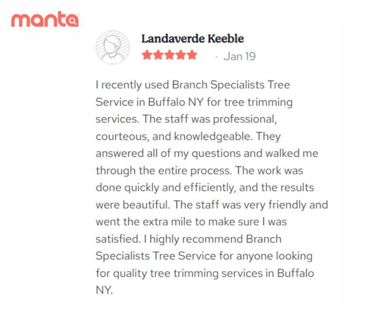 Branch Specialists Tree Service Buffalo NY (716) 400 0763