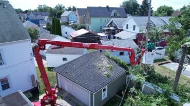 Tree Removal in Buffalo NY: Why It’s Important and How to Choose the Right Service