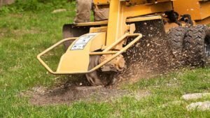 Read more about the article The Complete Guide to Stump Grinding: Why, When, and How