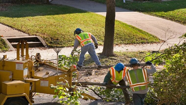 5 Signs It’s Time to Hire a Tree Service Company
