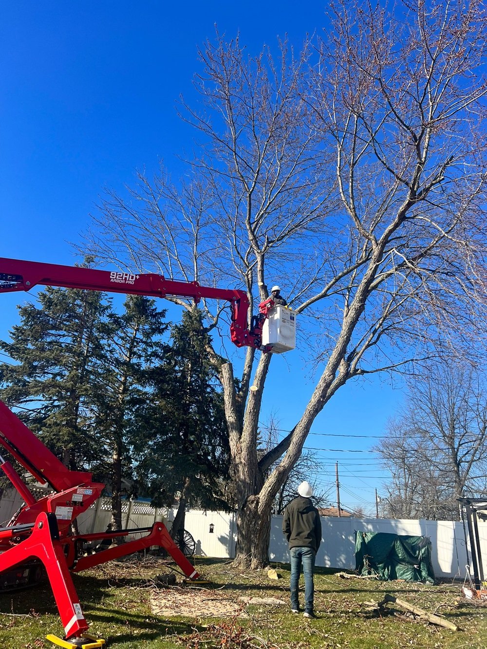 You are currently viewing Is Your Tree Out of Control? 5 Signs It’s Time to Hire a Tree Service Company