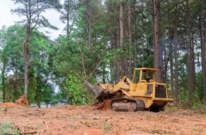 Read more about the article Five Major Land Clearing Issues You Might Face