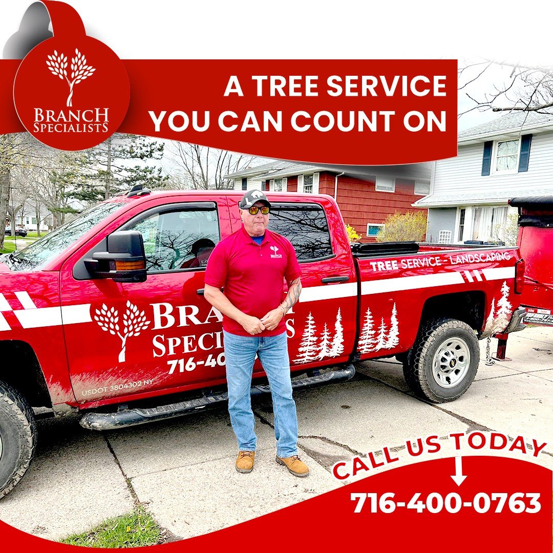 Branch Specialists Tree Service Buffalo NY