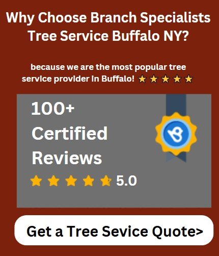 Branch Specialists Tree Service Buffalo NY reviews rating