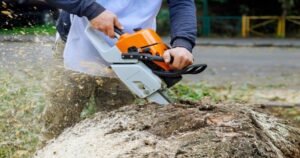Read more about the article Quick and Efficient Stump Grinding in Buffalo, NY