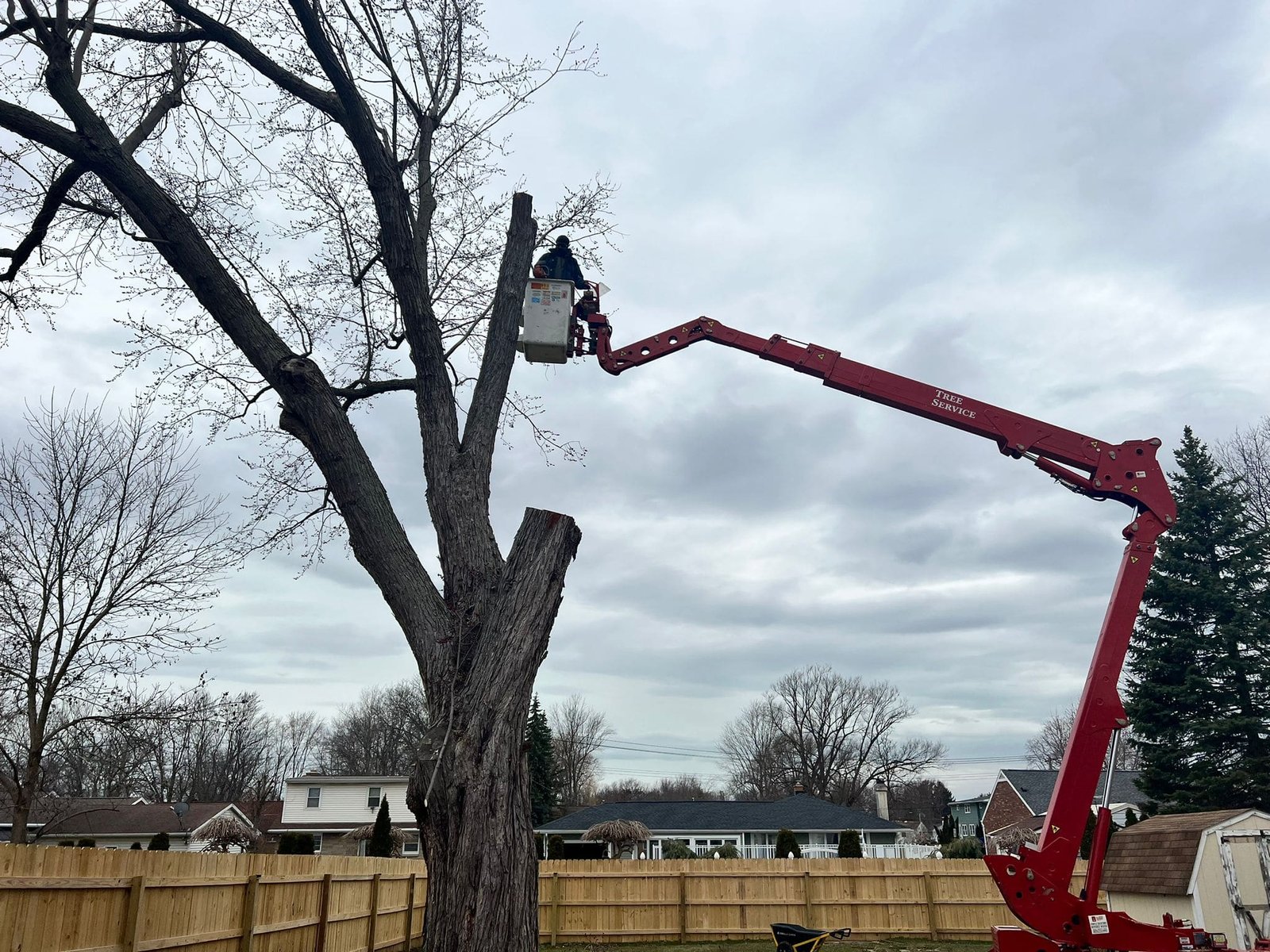 You are currently viewing Expert Tree Removal for Hazardous Tree Trimming and Tree Removals in Buffalo, NY