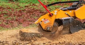 Read more about the article 7 Reasons to Call for Professional Stump Grinding Services