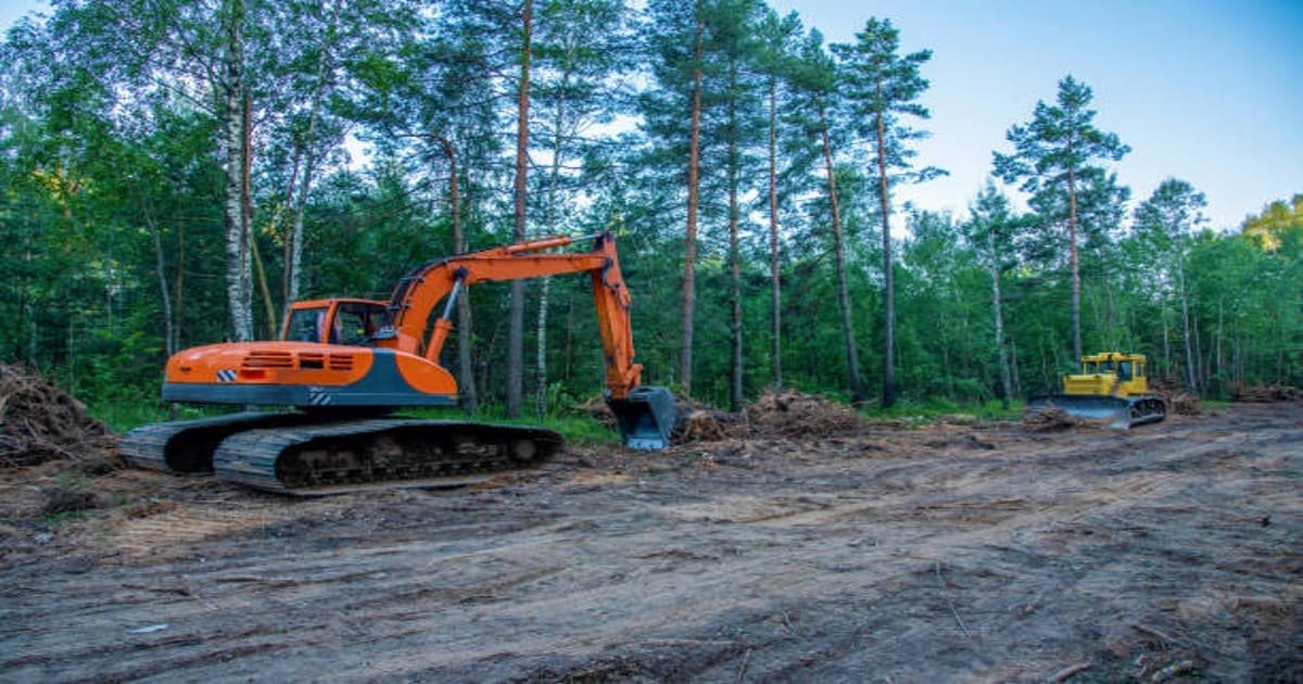 Read more about the article How Land Clearing Services in Getzville NY Can Help