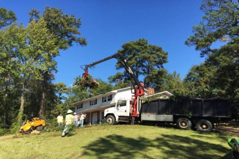 Tree Removal Services