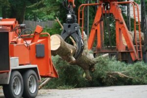 Read more about the article Emergency Tree Services: Prepare for Winter with Our 15% Off Special!