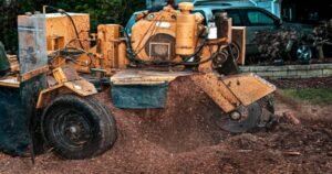 Read more about the article Stump Grinding vs. Stump Removal: What’s Best for Your Property?