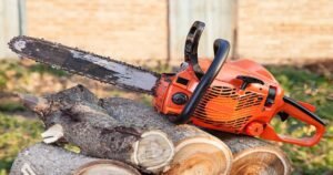 Read more about the article Tree Service Buffalo NY: Seasonal Tree Care Tips for Buffalo Homeowners