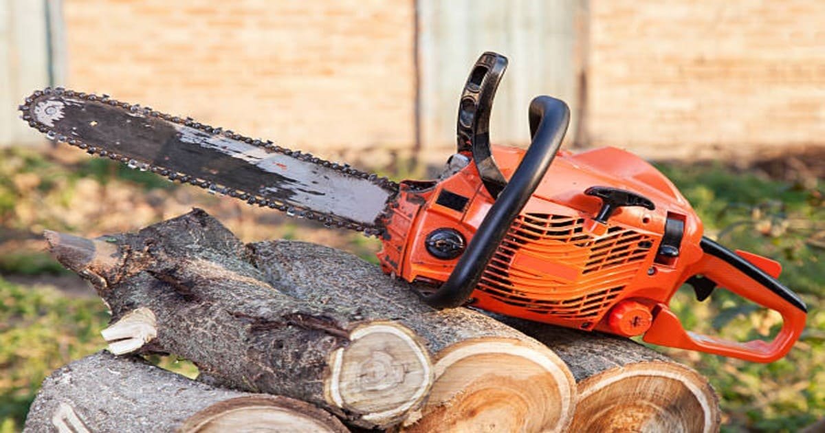 You are currently viewing Tree Service Buffalo NY: Seasonal Tree Care Tips for Buffalo Homeowners