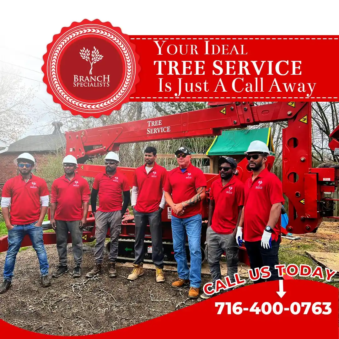 Emergency Tree Service 5 Benefits-Of-Hiring-A-Professional-Tree-Removal-Service-ezgif.com-jpg-to-webp-converter