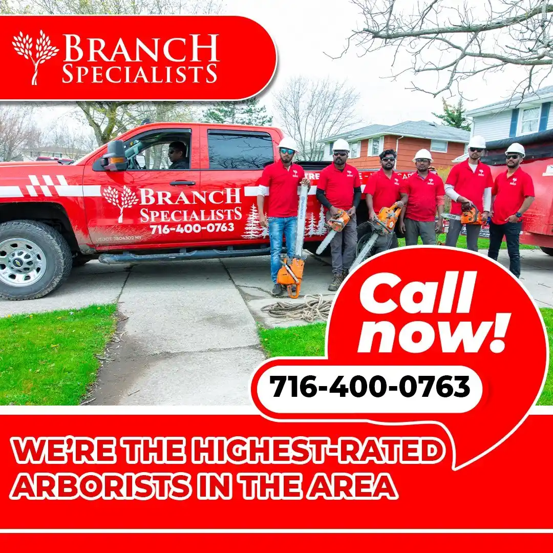 Emergency Tree Service 7 Branch-Specialists-Tree-Service-Buffalo-NY-2-3-ezgif.com-jpg-to-webp-converter