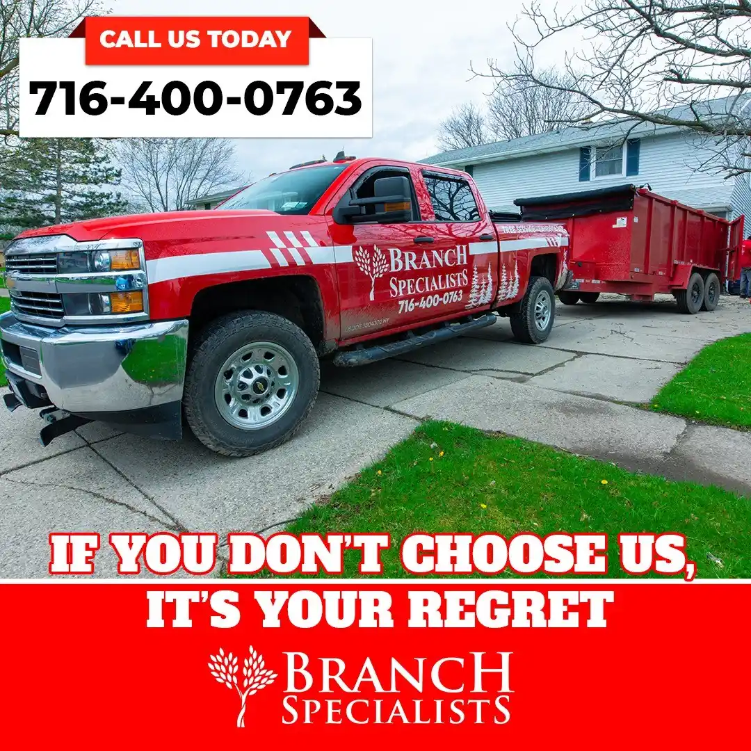 Emergency Tree Service 6 Branch-Specialists-Tree-Service-Buffalo-NY-3-ezgif.com-jpg-to-webp-converter