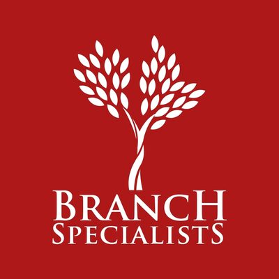Branch Specialists Tree Service Buffalo NY
