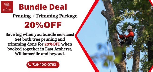 Seasonal Offers 8 Bundle Deal Pruning Trimming Package ezgif.com png to webp converter