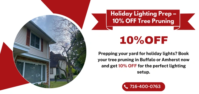 Seasonal Offers 7 Holiday Lighting Prep 10 OFF Tree Pruning ezgif.com png to webp converter