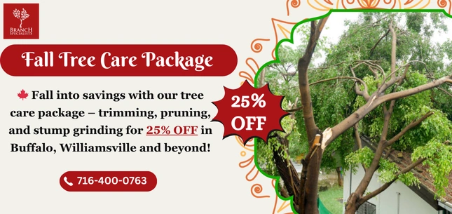 Seasonal Offers 12 Offer 13 ezgif.com png to webp converter