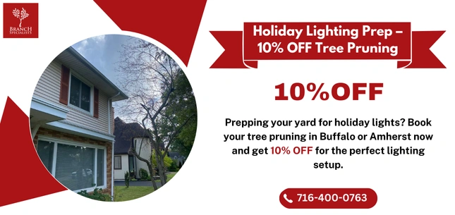 Seasonal Offers 13 Offer 17 ezgif.com png to webp converter