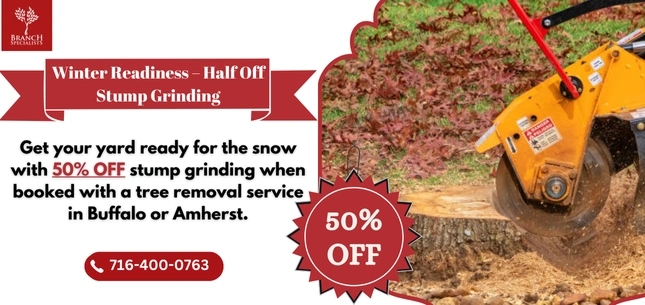 Seasonal Offers 10 Offer 5 1 ezgif.com png to webp converter