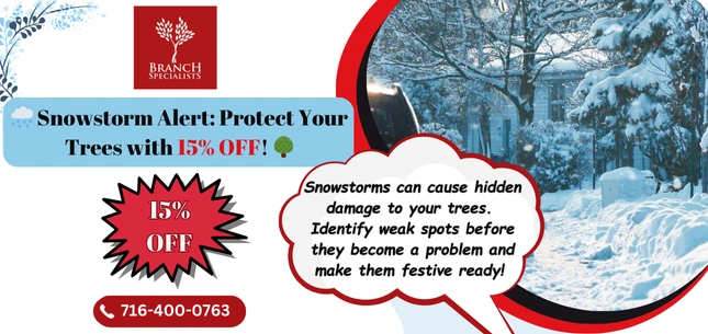 Seasonal Offers 16 Offer 9 ezgif.com png to webp converter