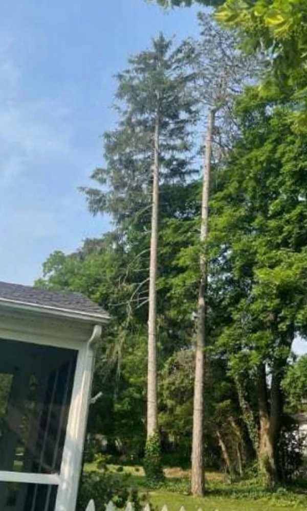 Gallery 13 Slide3 Before2