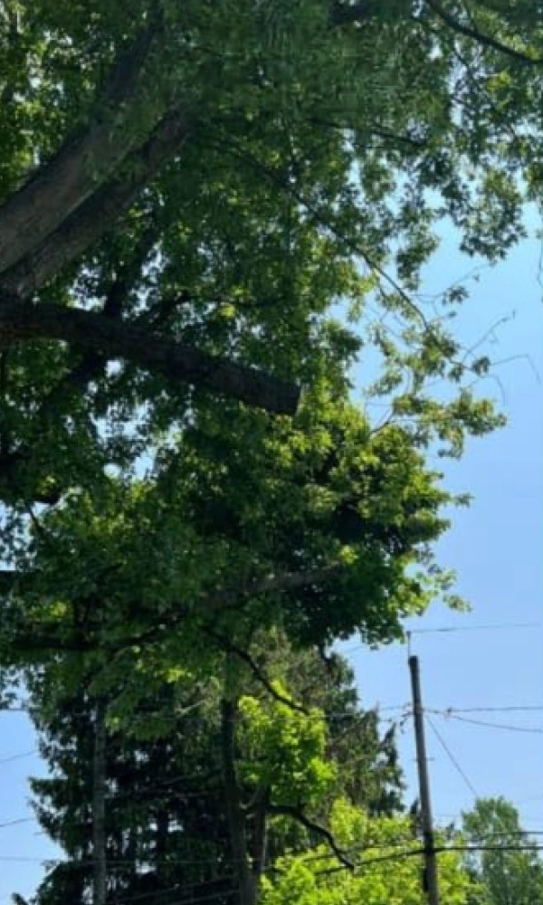 Gallery 12 Slide4Aftrer img