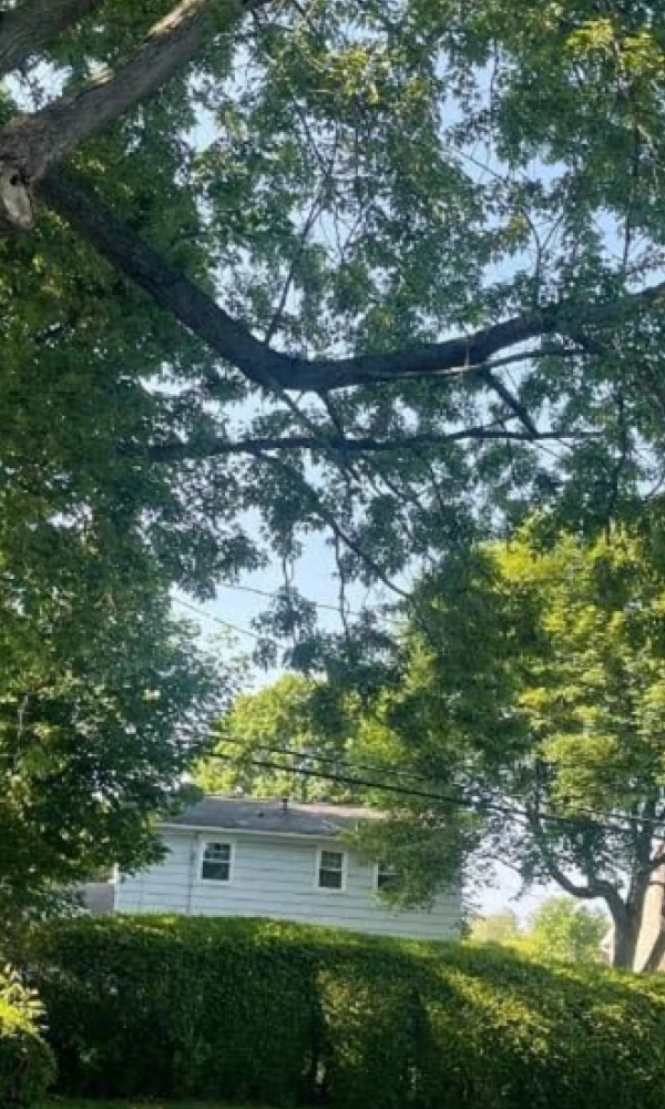 Gallery 11 Slide4Before img