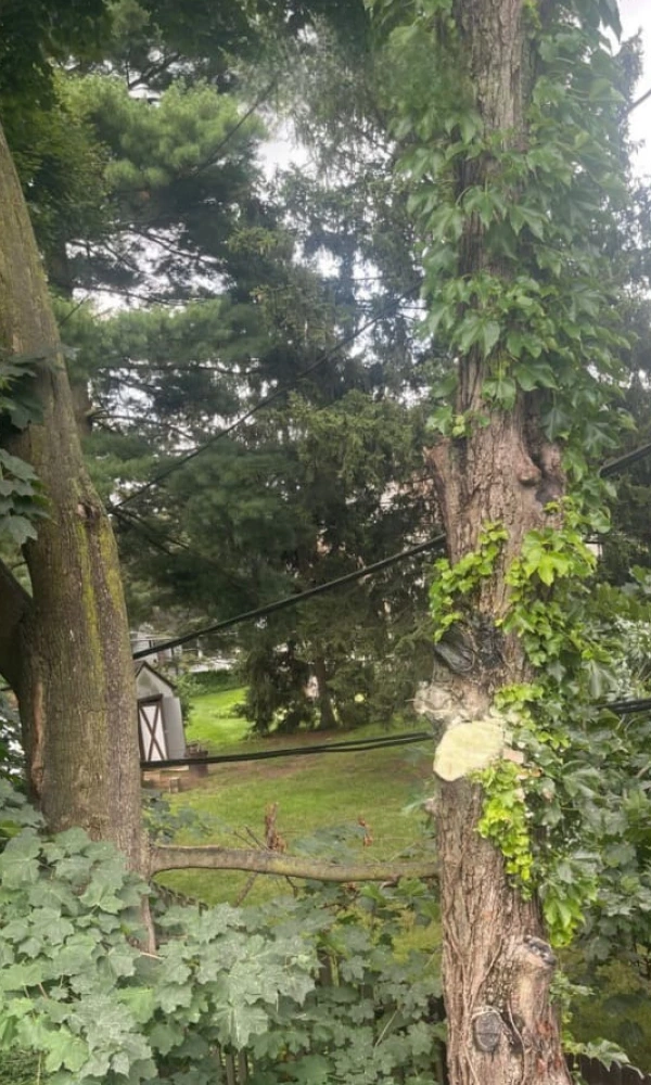 Gallery 10 Slide5AfterImg