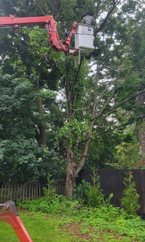 Gallery 9 Slide5BeforeImg