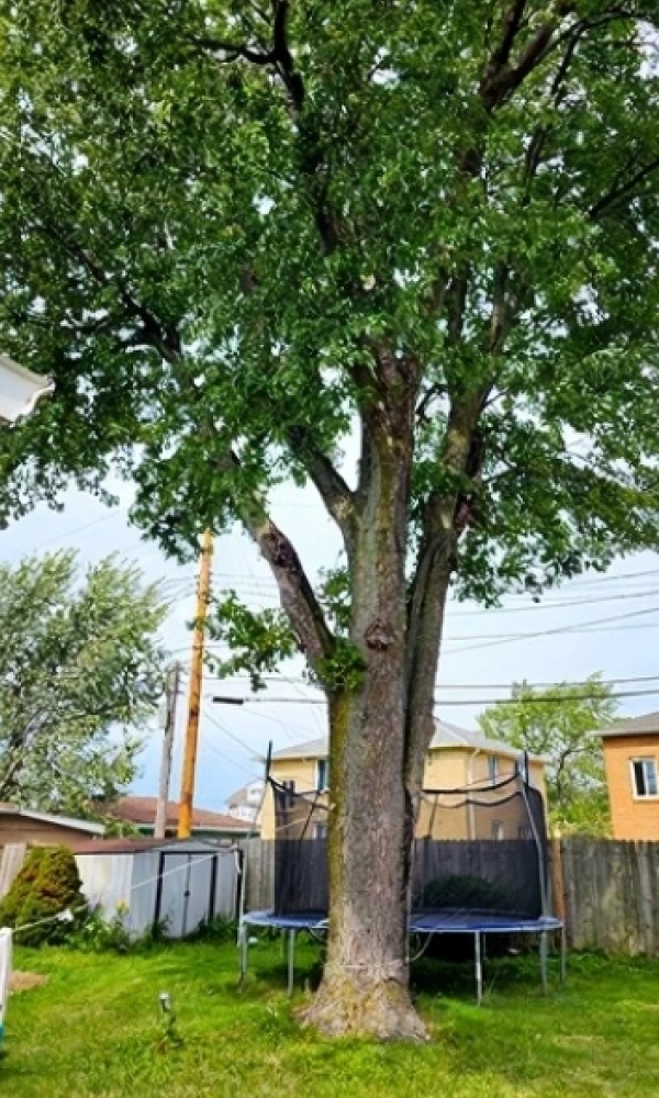 Gallery 7 Slide6BeforeImg