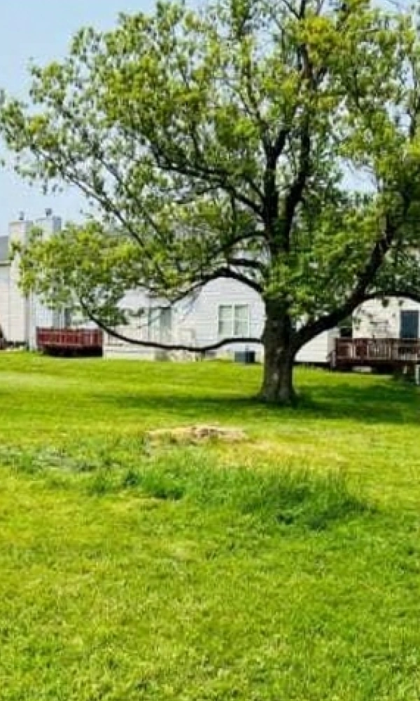 Gallery 6 Slide7AfterImg