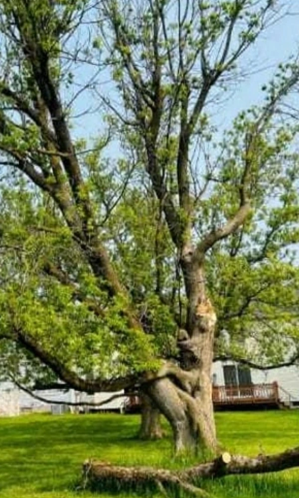 Gallery 5 Slide7BeforeImg