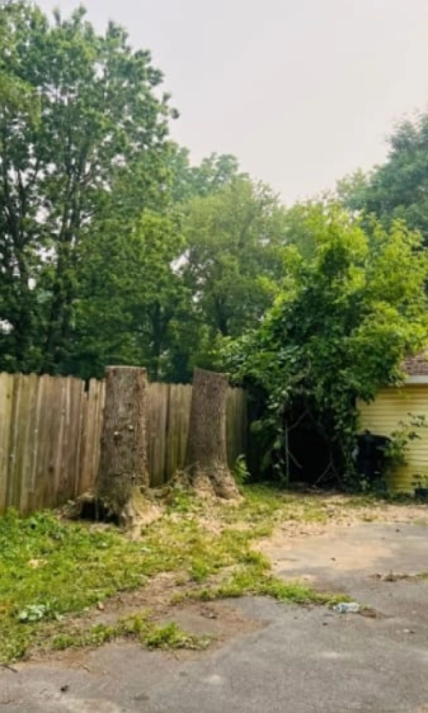 Gallery 4 Slide8After